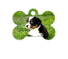Dog Tag - Bone