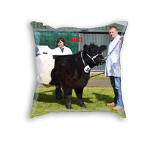 Sample Pillow
