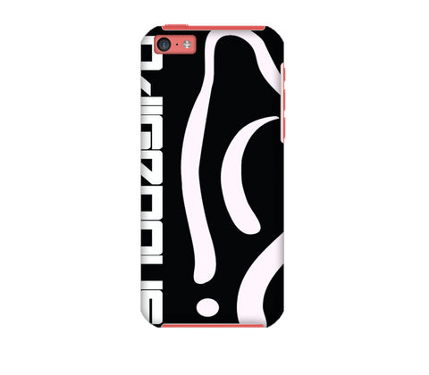 iPhone 5C case