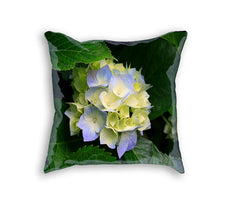 Sample Pillow