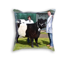 Sample Pillow