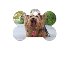 Dog Tag - Bone