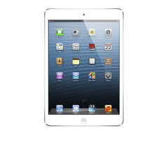 iPad Mini Skin