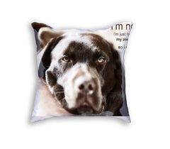 Sample Pillow