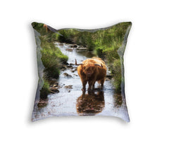 Sample Pillow