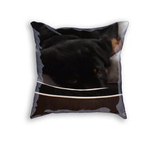 Sample Pillow