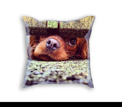 Sample Pillow