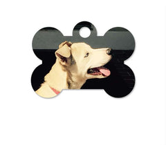 Dog Tag - Bone